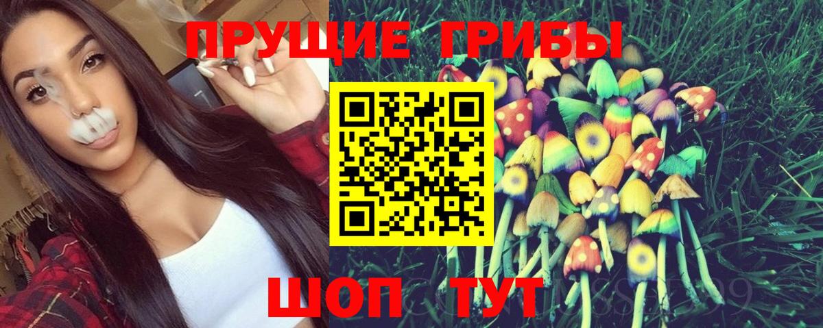 Галлюциногенные грибы мухоморы  Вход с VPN  Камышлов  Псилоцибиновые грибы ЛСД 