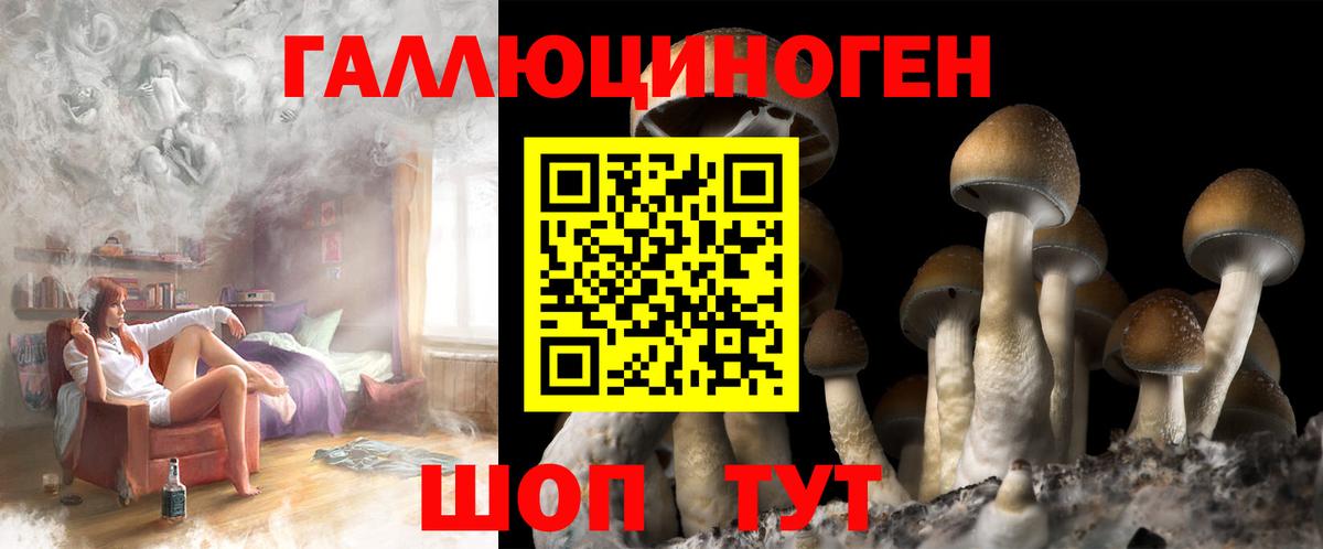 Галлюциногенные грибы Magic Shrooms Камышлов