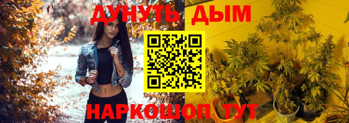 Камышлов  Шишки марихуана марихуана  Вход с VPN  МАРИХУАНА VHQ  Каннабис VHQ 